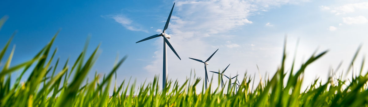 Bestimmung der Standortgüte 